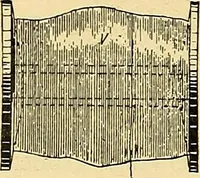 An illustration from Konstruktion, Bau und Betrieb von Funkeninduktoren und deren Anwendung, mit besonderer Berücksichtigung der Röntgenstrahlen-Technik (1904)