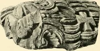An illustration from Koptische Kunst (1904)