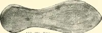 An illustration from Koptische Kunst (1904)