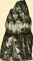 An illustration from Koptische Kunst (1904)