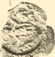 An illustration from Koptische Kunst (1904)