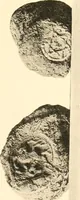 An illustration from Koptische Kunst (1904)