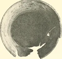 An illustration from Koptische Kunst (1904)