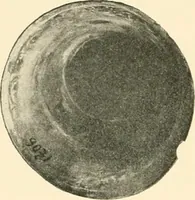 An illustration from Koptische Kunst (1904)
