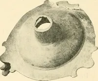 An illustration from Koptische Kunst (1904)