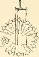 An illustration from Koptische Kunst (1904)