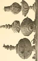 An illustration from Koptische Kunst (1904)