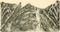 An illustration from Koptische Kunst (1904)