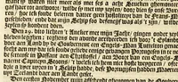 An illustration from Korte historiael, ende journaels aenteyckeninge, van verscheyden voyagiens in de vier deelen des wereldts-ronde, : als Europa, Africa, Asia, ende Amerika gedaen, (1655)
