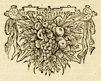 An illustration from Korte historiael, ende journaels aenteyckeninge, van verscheyden voyagiens in de vier deelen des wereldts-ronde, : als Europa, Africa, Asia, ende Amerika gedaen, (1655)