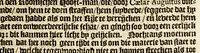 An illustration from Kort verhael vanden staet van Fernanbuc ... (1640)