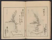 Picture 4 of 9 from [Koryū ikebana saizu] (1834), leaf 48