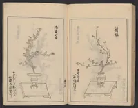 An illustration from [Koryū ikebana saizu] (1834)
