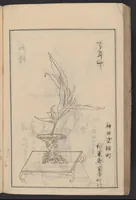 An illustration from [Koryū ikebana saizu] (1834)