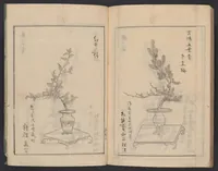 An illustration from [Koryū ikebana saizu] (1834)