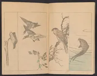 An illustration from [Kōchō gafu (1834)