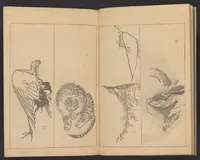 An illustration from Kōchō gafu (1834)
