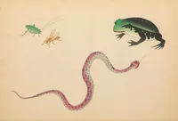 An illustration from Kōgeihim ishō no enkaku (1900)