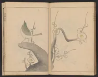 An illustration from Kōrin gashiki : zen (1818)