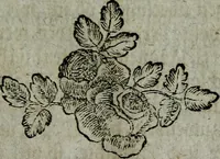 An illustration from Köremons Ehrenmitgliedes der Akademie von St. Lucas in Rom, auch verschiedener andrer Akademien in Italien und Deutschland, Natur und Kunst in Gemälden, Bildhauereyen, Gebäuden und Kupferstichen : zum Unterricht der Schüler, und Vergnüngen der Kenner (1770)