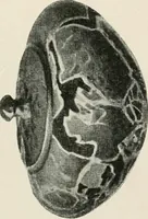 An illustration from Kretische Kunst (1921)
