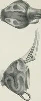 An illustration from Kretische Kunst (1921)