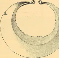 An illustration from Körperpflege und Kleidung bei den Deutschen von den ältesten geschichtlichen Zeiten bis zum 16. Jahrhundert (1903)
