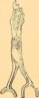 An illustration from Körperpflege und Kleidung bei den Deutschen von den ältesten geschichtlichen Zeiten bis zum 16. Jahrhundert (1903)
