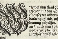 Picture 8 of 34 from Künstlicher Bericht vnd allerzierlichste Beschreybung des edlen, vhesten, vnnd hochberümbten Ehrn Friderici Grisonis Neapolitanischen hochlöblichen Adels : wie die streitbarn Pferdt (durch welche ritterliche Tugendten mehrers thails geübet) zum Ernst vnd ritterlicher Kurtzweil geschickt vnd volkommen zumachen .. (1573), leaf 101