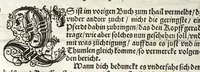 An illustration from Künstlicher Bericht vnd allerzierlichste Beschreybung des edlen, vhesten, vnnd hochberümbten Ehrn Friderici Grisonis Neapolitanischen hochlöblichen Adels : wie die streitbarn Pferdt (durch welche ritterliche Tugendten mehrers thails geübet) zum Ernst vnd ritterlicher Kurtzweil geschickt vnd volkommen zumachen .. (1573)