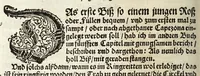 An illustration from Künstlicher Bericht vnd allerzierlichste Beschreybung des edlen, vhesten, vnnd hochberümbten Ehrn Friderici Grisonis Neapolitanischen hochlöblichen Adels : wie die streitbarn Pferdt (durch welche ritterliche Tugendten mehrers thails geübet) zum Ernst vnd ritterlicher Kurtzweil geschickt vnd volkommen zumachen .. (1573)