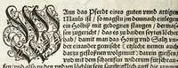 An illustration from Künstlicher Bericht vnd allerzierlichste Beschreybung des edlen, vhesten, vnnd hochberümbten Ehrn Friderici Grisonis Neapolitanischen hochlöblichen Adels : wie die streitbarn Pferdt (durch welche ritterliche Tugendten mehrers thails geübet) zum Ernst vnd ritterlicher Kurtzweil geschickt vnd volkommen zumachen .. (1573)