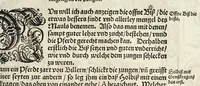 An illustration from Künstlicher Bericht vnd allerzierlichste Beschreybung des edlen, vhesten, vnnd hochberümbten Ehrn Friderici Grisonis Neapolitanischen hochlöblichen Adels : wie die streitbarn Pferdt (durch welche ritterliche Tugendten mehrers thails geübet) zum Ernst vnd ritterlicher Kurtzweil geschickt vnd volkommen zumachen .. (1573)