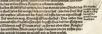 An illustration from Künstlicher Bericht vnd allerzierlichste Beschreybung des edlen, vhesten, vnnd hochberümbten Ehrn Friderici Grisonis Neapolitanischen hochlöblichen Adels : wie die streitbarn Pferdt (durch welche ritterliche Tugendten mehrers thails geübet) zum Ernst vnd ritterlicher Kurtzweil geschickt vnd volkommen zumachen .. (1573)