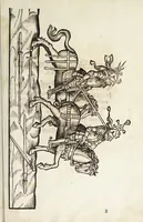 Picture 32 of 34 from Künstlicher Bericht vnd allerzierlichste Beschreybung des edlen, vhesten, vnnd hochberümbten Ehrn Friderici Grisonis Neapolitanischen hochlöblichen Adels : wie die streitbarn Pferdt (durch welche ritterliche Tugendten mehrers thails geübet) zum Ernst vnd ritterlicher Kurtzweil geschickt vnd volkommen zumachen .. (1573), leaf 287