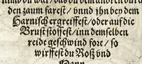 An illustration from Künstlicher Bericht vnd allerzierlichste Beschreybung des edlen, vhesten, vnnd hochberümbten Ehrn Friderici Grisonis Neapolitanischen hochlöblichen Adels : wie die streitbarn Pferdt (durch welche ritterliche Tugendten mehrers thails geübet) zum Ernst vnd ritterlicher Kurtzweil geschickt vnd volkommen zumachen .. (1573)