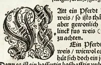 Picture 4 of 34 from Künstlicher Bericht vnd allerzierlichste Beschreybung des edlen, vhesten, vnnd hochberümbten Ehrn Friderici Grisonis Neapolitanischen hochlöblichen Adels : wie die streitbarn Pferdt (durch welche ritterliche Tugendten mehrers thails geübet) zum Ernst vnd ritterlicher Kurtzweil geschickt vnd volkommen zumachen .. (1573), leaf 32