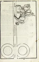 Picture 5 of 34 from Künstlicher Bericht vnd allerzierlichste Beschreybung des edlen, vhesten, vnnd hochberümbten Ehrn Friderici Grisonis Neapolitanischen hochlöblichen Adels : wie die streitbarn Pferdt (durch welche ritterliche Tugendten mehrers thails geübet) zum Ernst vnd ritterlicher Kurtzweil geschickt vnd volkommen zumachen .. (1573), leaf 71