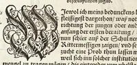 An illustration from Künstlicher Bericht vnd allerzierlichste Beschreybung des edlen, vhesten, vnnd hochberümbten Ehrn Friderici Grisonis Neapolitanischen hochlöblichen Adels : wie die streitbarn Pferdt (durch welche ritterliche Tugendten mehrers thails geübet) zum Ernst vnd ritterlicher Kurtzweil geschickt vnd volkommen zumachen .. (1573)