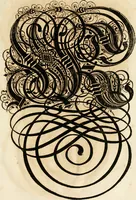Picture 131 of 149 from Kunstrichtige Schreibart : allerhand Versalie[n] oder AnfangsBuchstabe[n] der teütschen, lateinischen und italianischen Schrifften aus unterschiedlichen Meistern der edlen Schreibkunst zusammen getragen (1655), leaf 126
