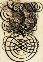 Picture 141 of 149 from Kunstrichtige Schreibart : allerhand Versalie[n] oder AnfangsBuchstabe[n] der teütschen, lateinischen und italianischen Schrifften aus unterschiedlichen Meistern der edlen Schreibkunst zusammen getragen (1655), leaf 146