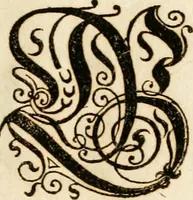 Picture 15 of 149 from Kunstrichtige Schreibart : allerhand Versalie[n] oder AnfangsBuchstabe[n] der teütschen, lateinischen und italianischen Schrifften aus unterschiedlichen Meistern der edlen Schreibkunst zusammen getragen (1655), leaf 26