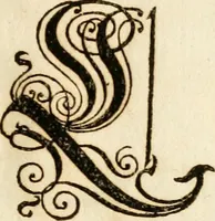 Picture 19 of 149 from Kunstrichtige Schreibart : allerhand Versalie[n] oder AnfangsBuchstabe[n] der teütschen, lateinischen und italianischen Schrifften aus unterschiedlichen Meistern der edlen Schreibkunst zusammen getragen (1655), leaf 26