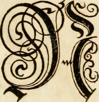 Picture 21 of 149 from Kunstrichtige Schreibart : allerhand Versalie[n] oder AnfangsBuchstabe[n] der teütschen, lateinischen und italianischen Schrifften aus unterschiedlichen Meistern der edlen Schreibkunst zusammen getragen (1655), leaf 26