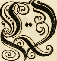 Picture 24 of 149 from Kunstrichtige Schreibart : allerhand Versalie[n] oder AnfangsBuchstabe[n] der teütschen, lateinischen und italianischen Schrifften aus unterschiedlichen Meistern der edlen Schreibkunst zusammen getragen (1655), leaf 26