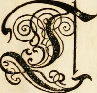 An illustration from Kunstrichtige Schreibart : allerhand Versalie[n] oder AnfangsBuchstabe[n] der teütschen, lateinischen und italianischen Schrifften aus unterschiedlichen Meistern der edlen Schreibkunst zusammen getragen (1655)