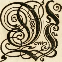 An illustration from Kunstrichtige Schreibart : allerhand Versalie[n] oder AnfangsBuchstabe[n] der teütschen, lateinischen und italianischen Schrifften aus unterschiedlichen Meistern der edlen Schreibkunst zusammen getragen (1655)