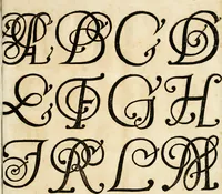 Picture 33 of 149 from Kunstrichtige Schreibart : allerhand Versalie[n] oder AnfangsBuchstabe[n] der teütschen, lateinischen und italianischen Schrifften aus unterschiedlichen Meistern der edlen Schreibkunst zusammen getragen (1655), leaf 30