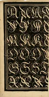Picture 42 of 149 from Kunstrichtige Schreibart : allerhand Versalie[n] oder AnfangsBuchstabe[n] der teütschen, lateinischen und italianischen Schrifften aus unterschiedlichen Meistern der edlen Schreibkunst zusammen getragen (1655), leaf 34