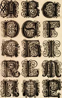 Picture 44 of 149 from Kunstrichtige Schreibart : allerhand Versalie[n] oder AnfangsBuchstabe[n] der teütschen, lateinischen und italianischen Schrifften aus unterschiedlichen Meistern der edlen Schreibkunst zusammen getragen (1655), leaf 36